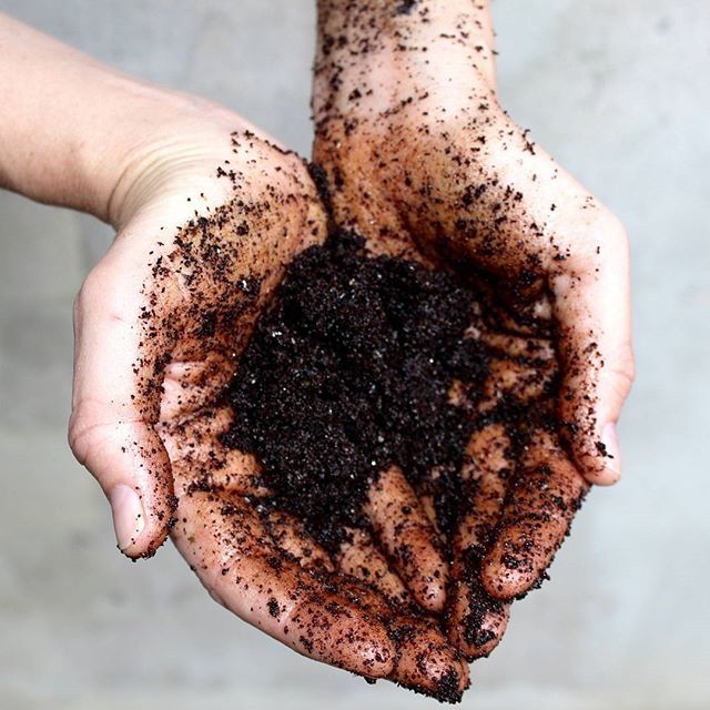 コーヒースクラブ 175g