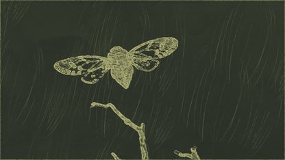 Extrait de Parfum キヒキヒ